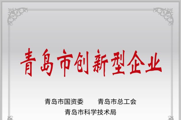 青岛市立异型企业